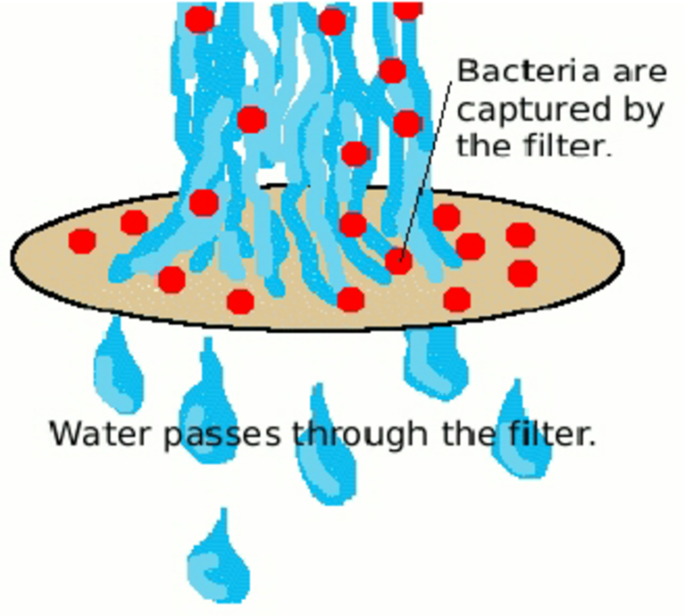membrane filtration bactericidal