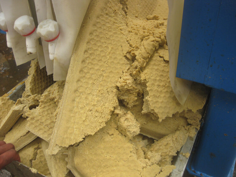 filter press cake